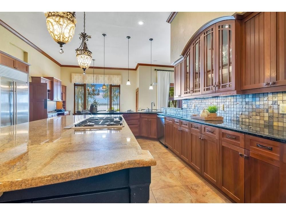 10577 Down Lakeview Circle Windermere FL 34786 - LAKE DOWN O6377244 image22