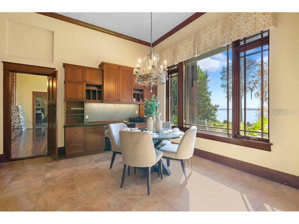 10577 Down Lakeview Circle Windermere FL 34786 - LAKE DOWN O6377244 image26