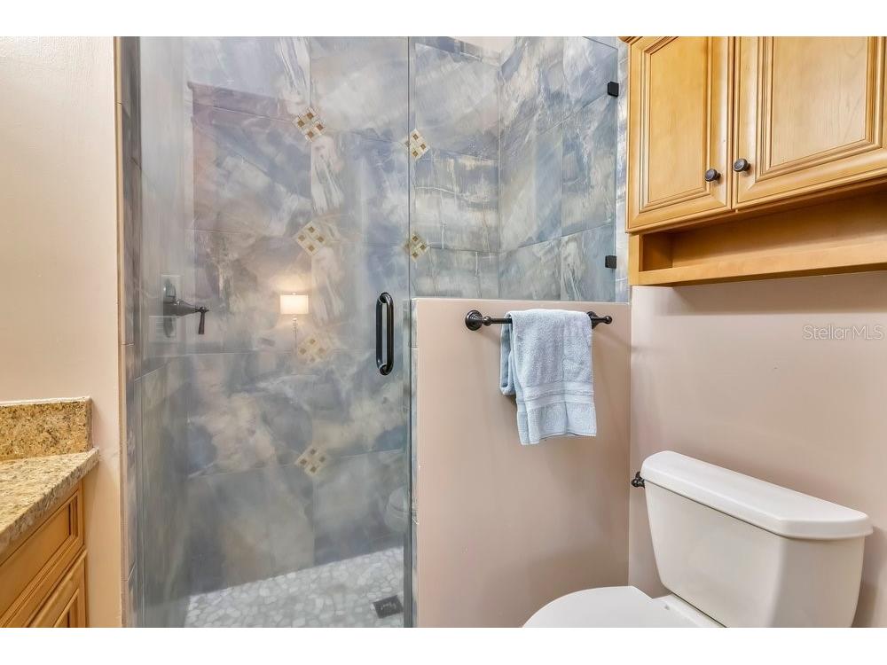 10577 Down Lakeview Circle Windermere FL 34786 - LAKE DOWN O6377244 image43