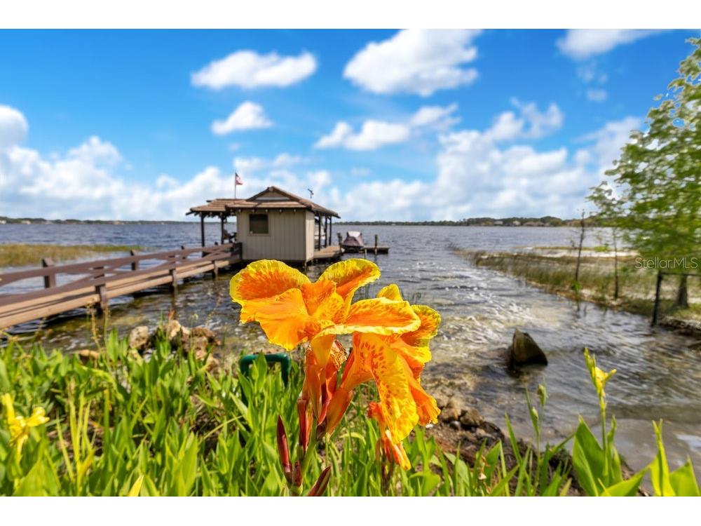 10577 Down Lakeview Circle Windermere FL 34786 - LAKE DOWN O6377244 image89