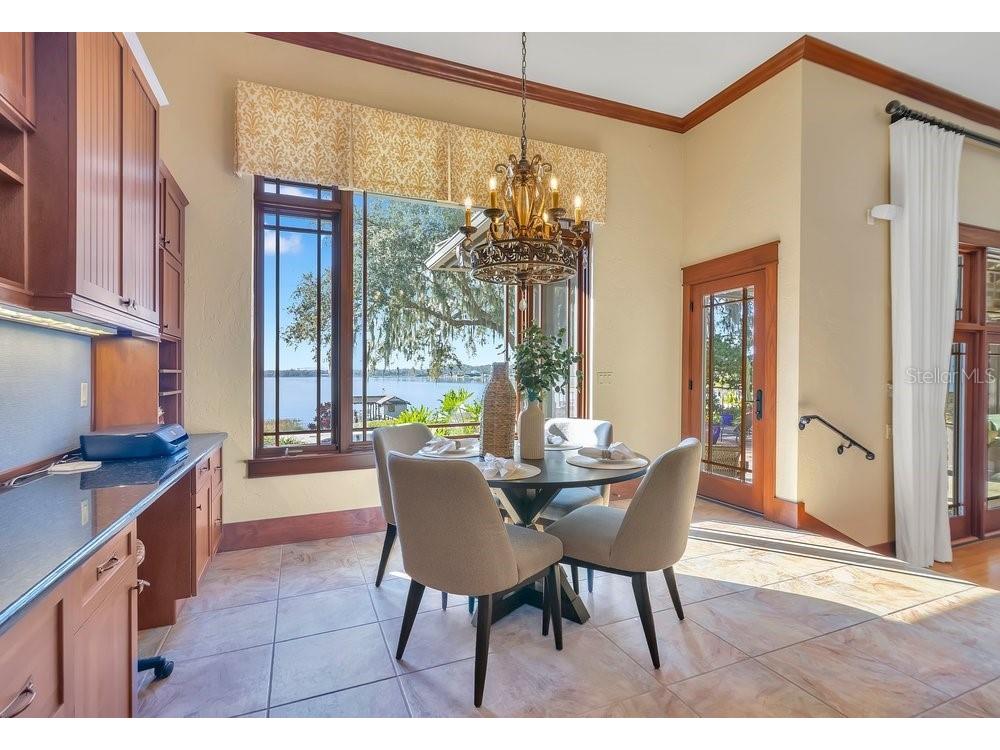 10577 Down Lakeview Circle Windermere FL 34786 - LAKE DOWN O6396406 image28