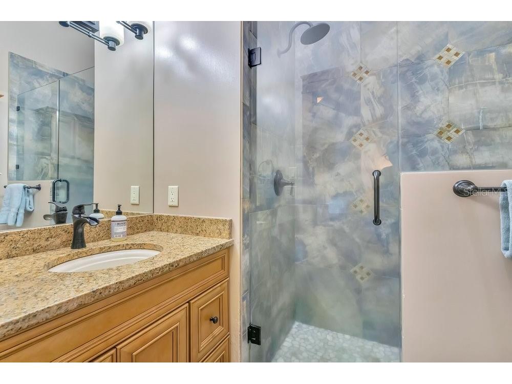 10577 Down Lakeview Circle Windermere FL 34786 - LAKE DOWN O6396406 image46