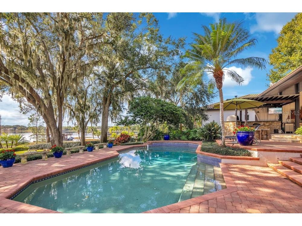 10577 Down Lakeview Circle Windermere FL 34786 - LAKE DOWN O6396406 image80