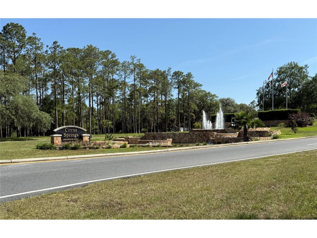 10578 N Allwood Terrace Citrus Springs FL 34434 OM702331 image1