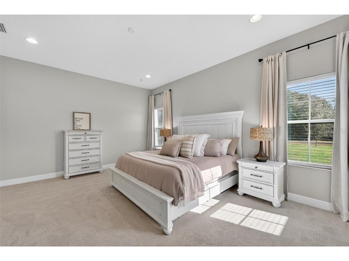 10579 Meadowrun Drive Lithia FL 33547 TB8454267 image22