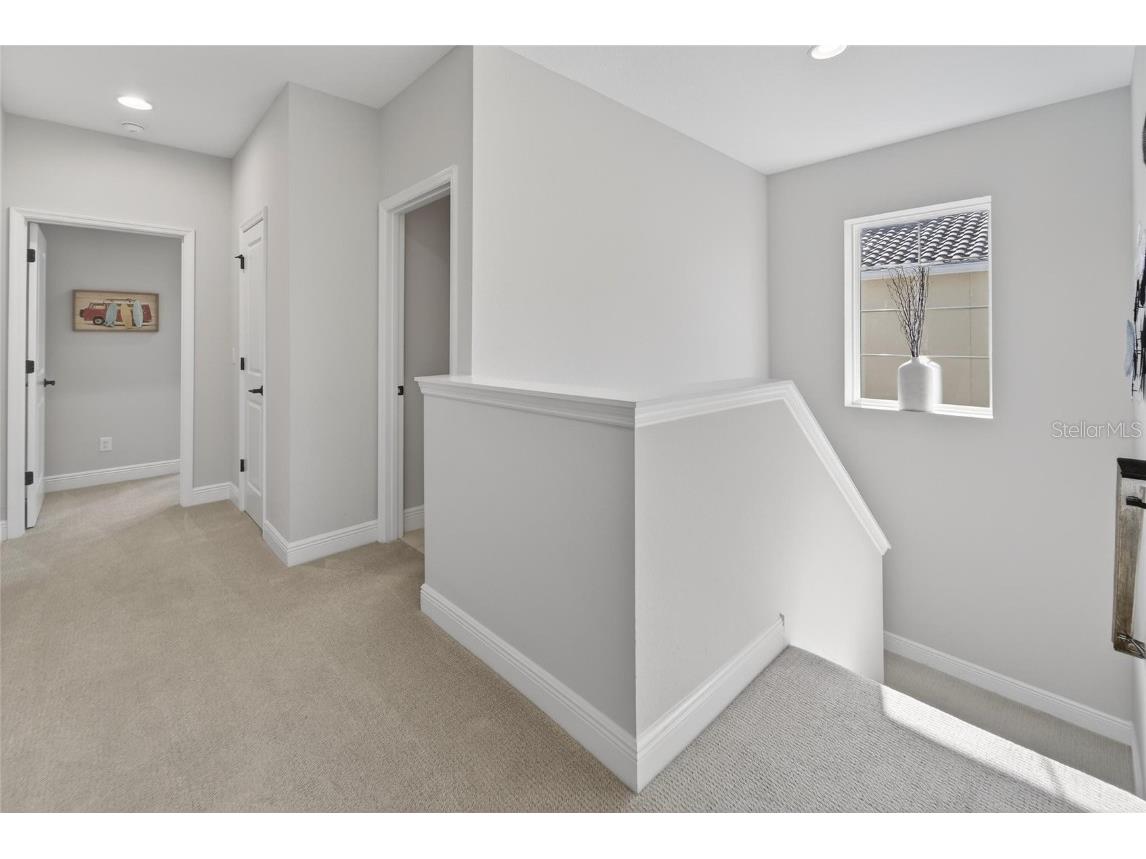 10579 Meadowrun Drive Lithia FL 33547 TB8454267 image45