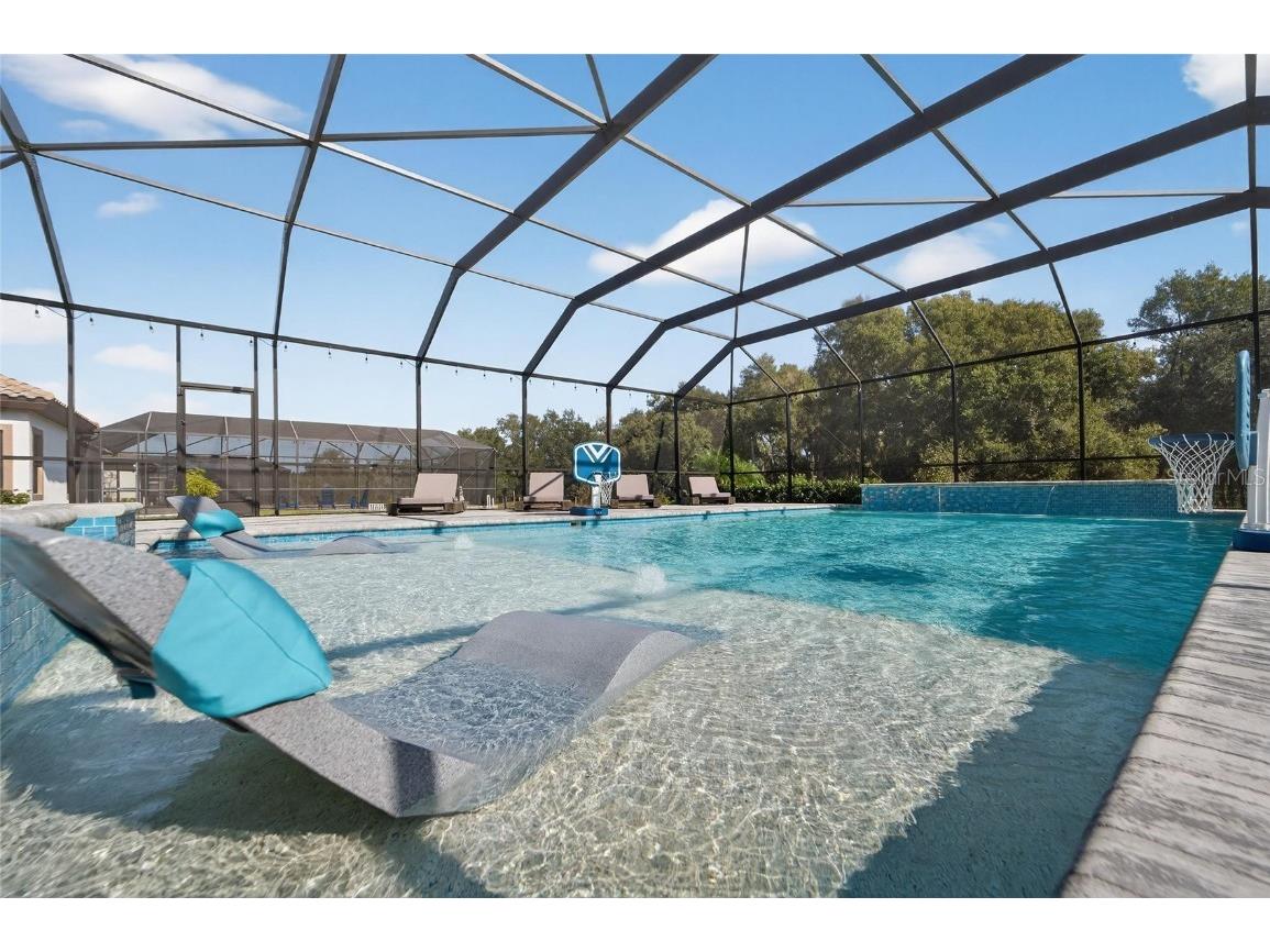 10579 Meadowrun Drive Lithia FL 33547 TB8454267 image59