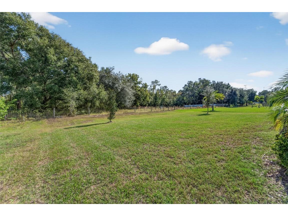 10579 Meadowrun Drive Lithia FL 33547 TB8454267 image79