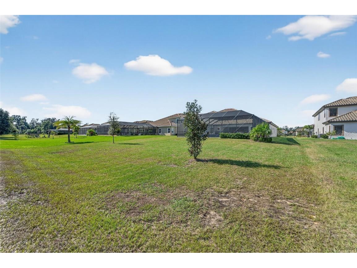 10579 Meadowrun Drive Lithia FL 33547 TB8454267 image80