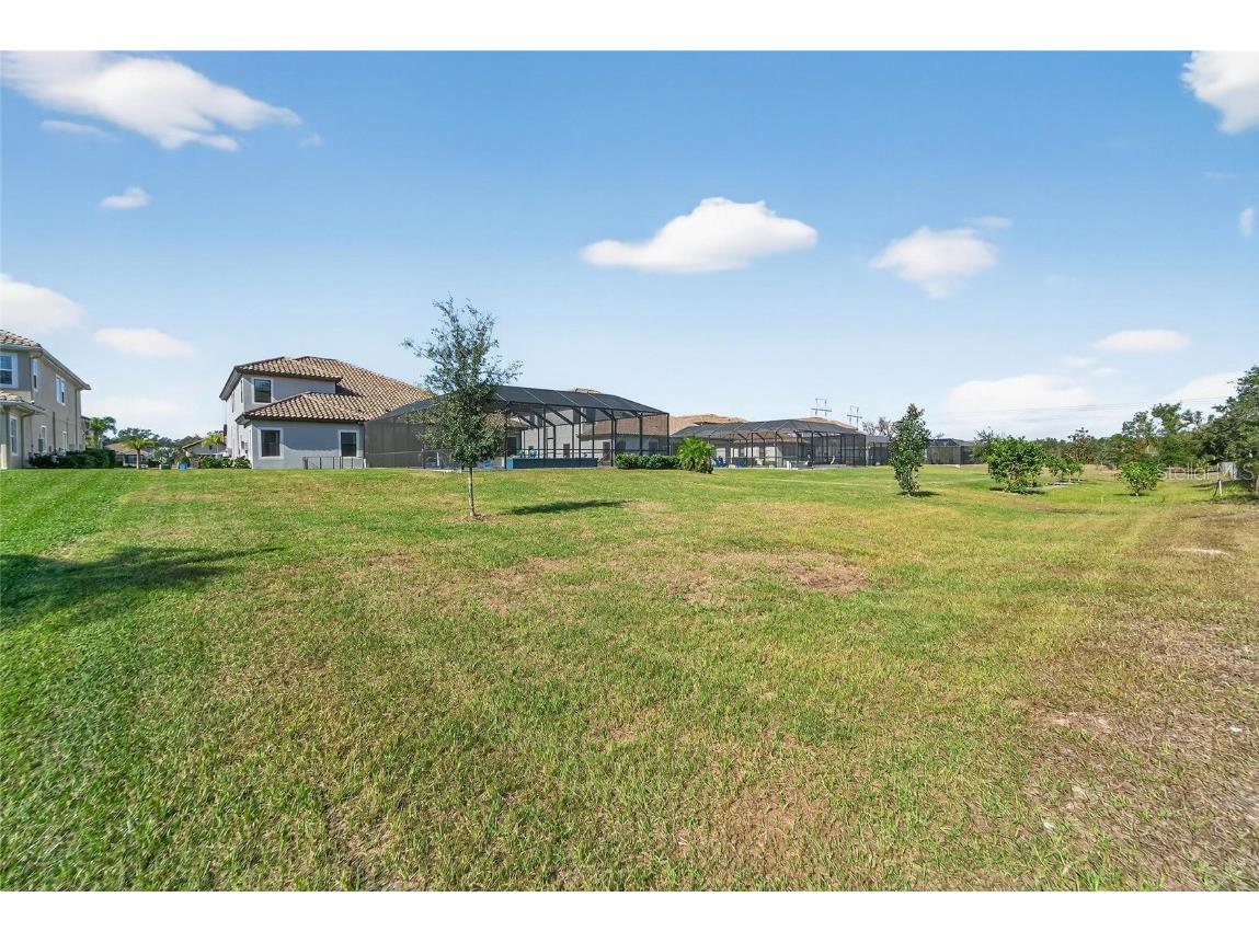 10579 Meadowrun Drive Lithia FL 33547 TB8454267 image81