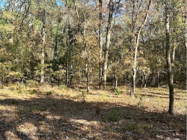 1058 NW 78th Avenue Bell FL 32619 - SUWANNEE RIVER GC535844 image10