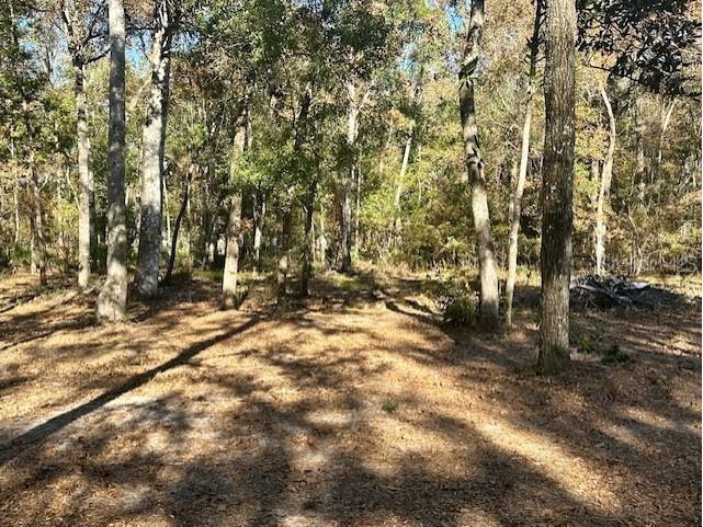 1058 NW 78th Avenue Bell FL 32619 - SUWANNEE RIVER GC535844 image11