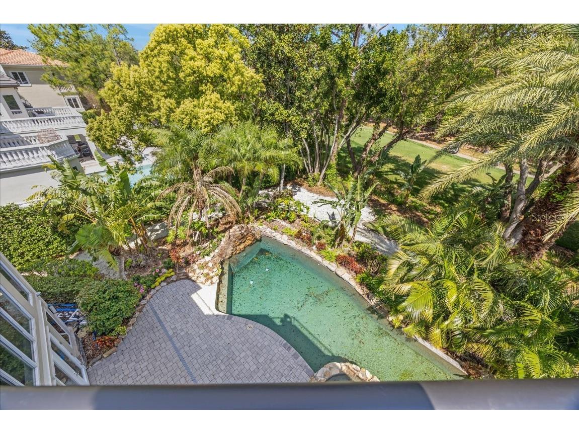 1058 Roundstone Place Palm Harbor FL 34683 TB8372778 image13