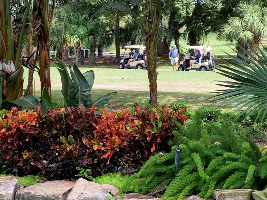 1058 Roundstone Place Palm Harbor FL 34683 TB8372778 image17