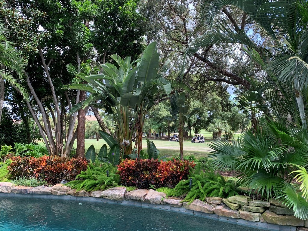 1058 Roundstone Place Palm Harbor FL 34683 TB8372778 image18