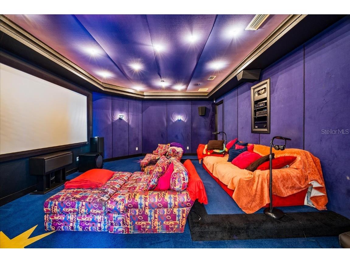 1058 Roundstone Place Palm Harbor FL 34683 TB8372778 image28