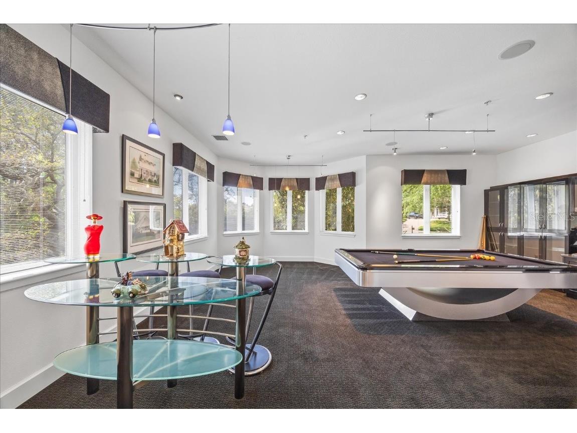 1058 Roundstone Place Palm Harbor FL 34683 TB8372778 image29