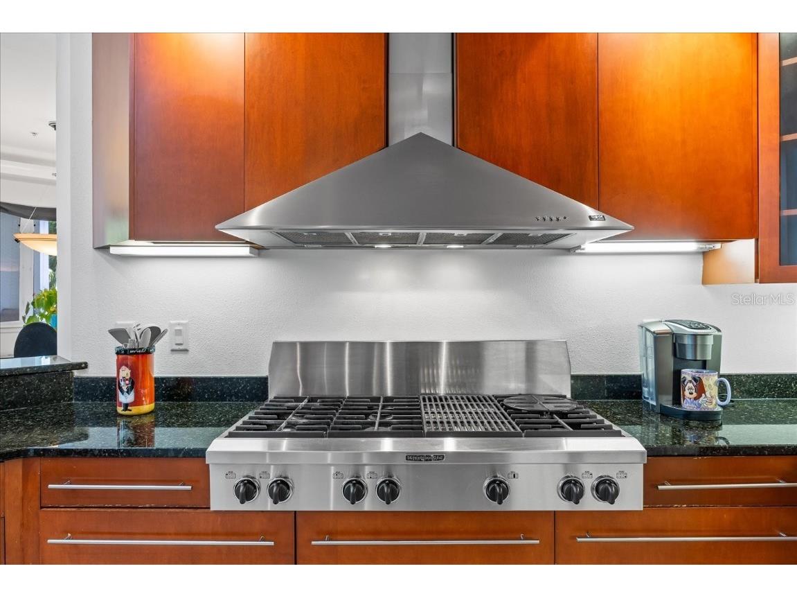 1058 Roundstone Place Palm Harbor FL 34683 TB8372778 image34