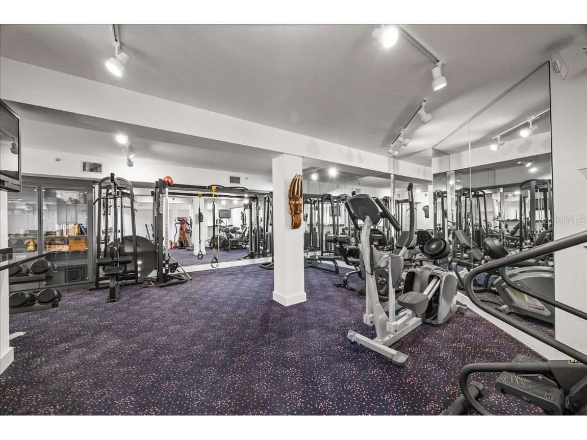 1058 Roundstone Place Palm Harbor FL 34683 TB8372778 image37