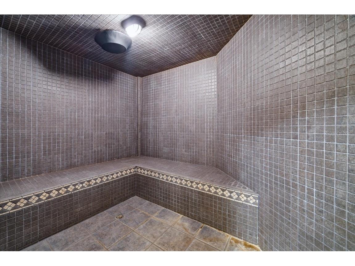 1058 Roundstone Place Palm Harbor FL 34683 TB8372778 image41