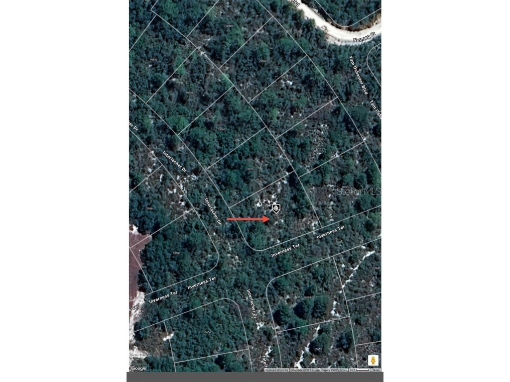 10581 Interlacher Drive Sebring FL 33875 O6270562 image5