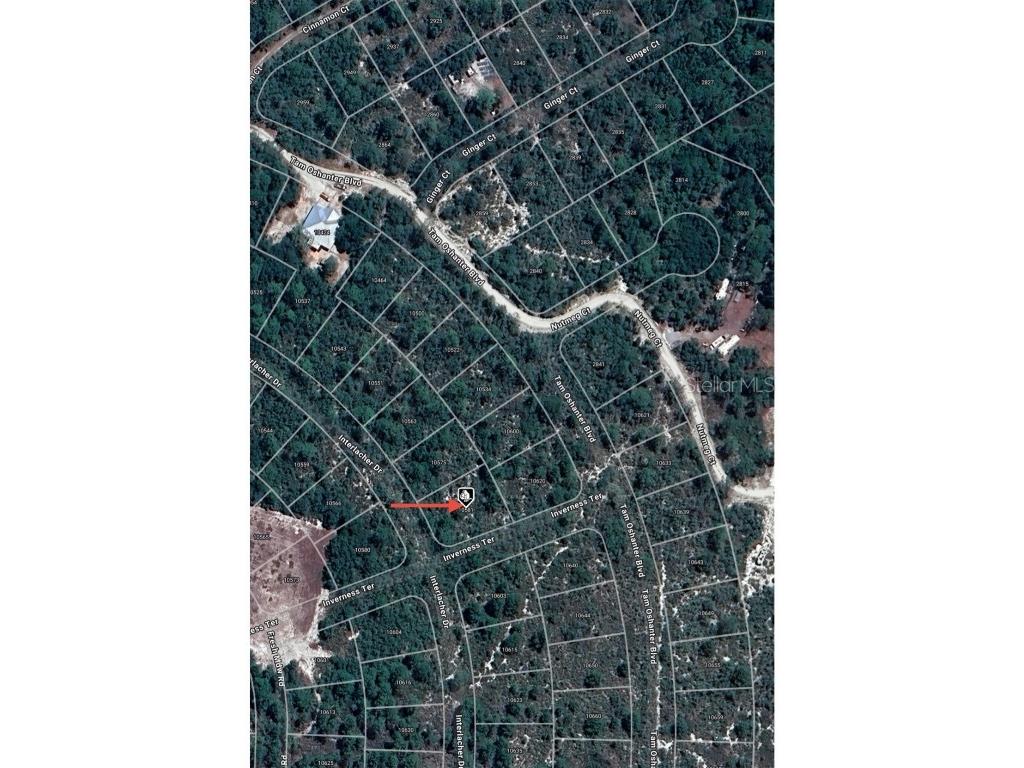 10581 Interlacher Drive Sebring FL 33875 O6270562 image6