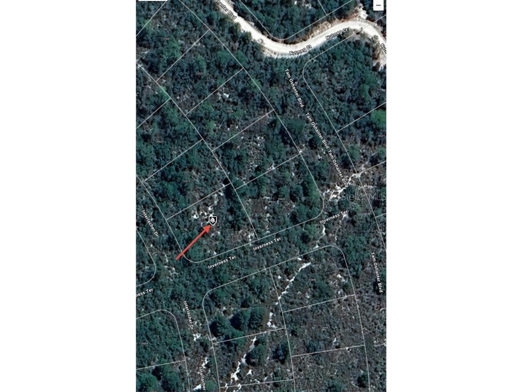 10581 Interlacher Drive Sebring FL 33875 O6270562 image7