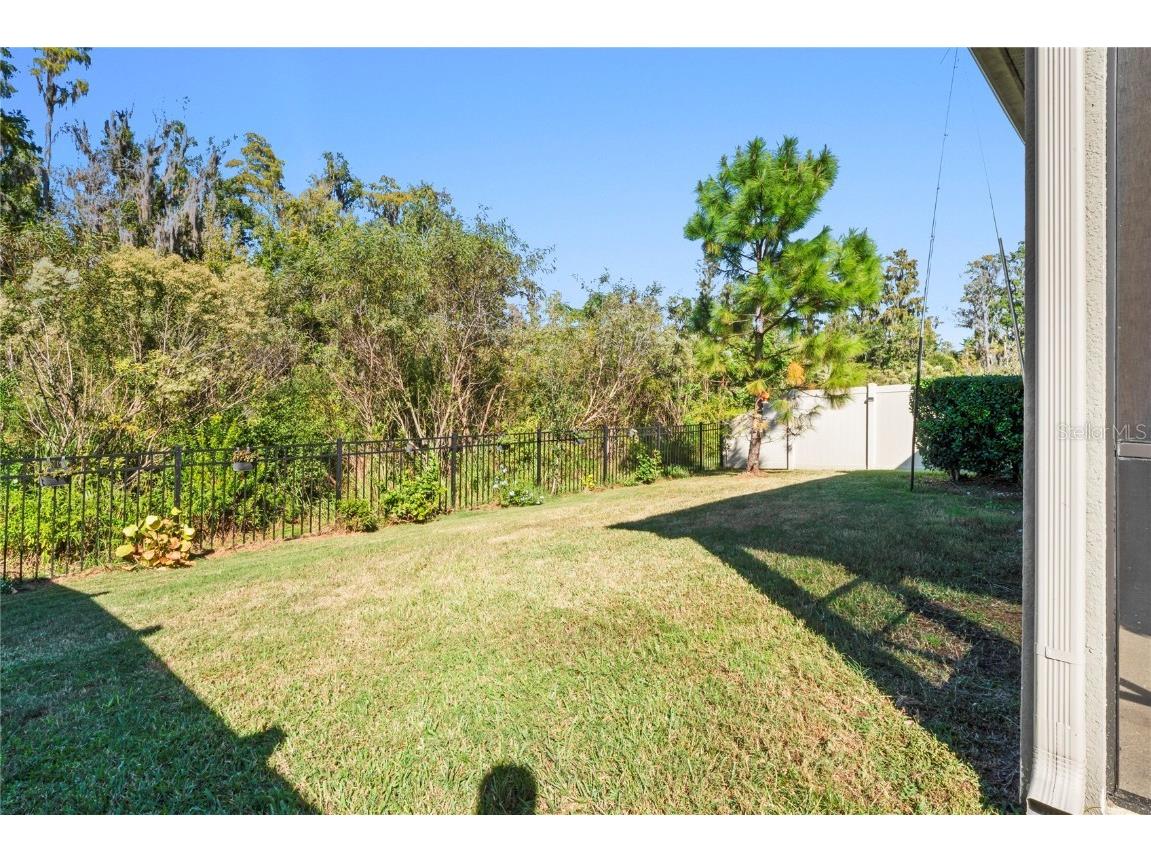 10582 Hawks Landing Drive Land O Lakes FL 34638 TB8445239 image14