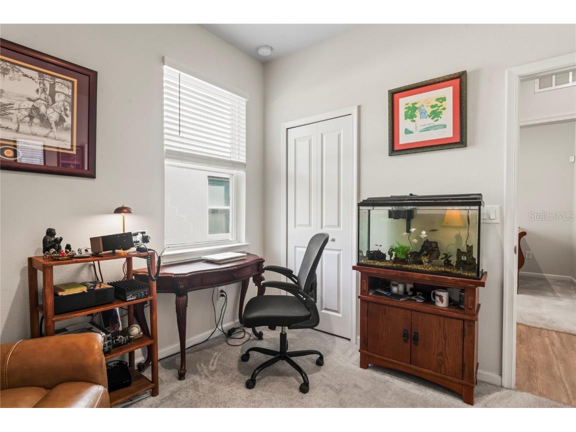 10582 Hawks Landing Drive Land O Lakes FL 34638 TB8445239 image25