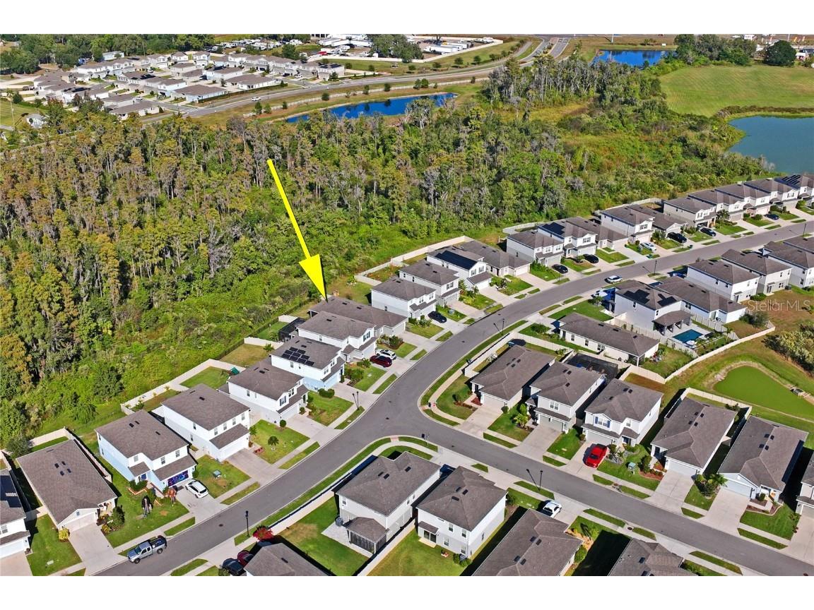 10582 Hawks Landing Drive Land O Lakes FL 34638 TB8445239 image29