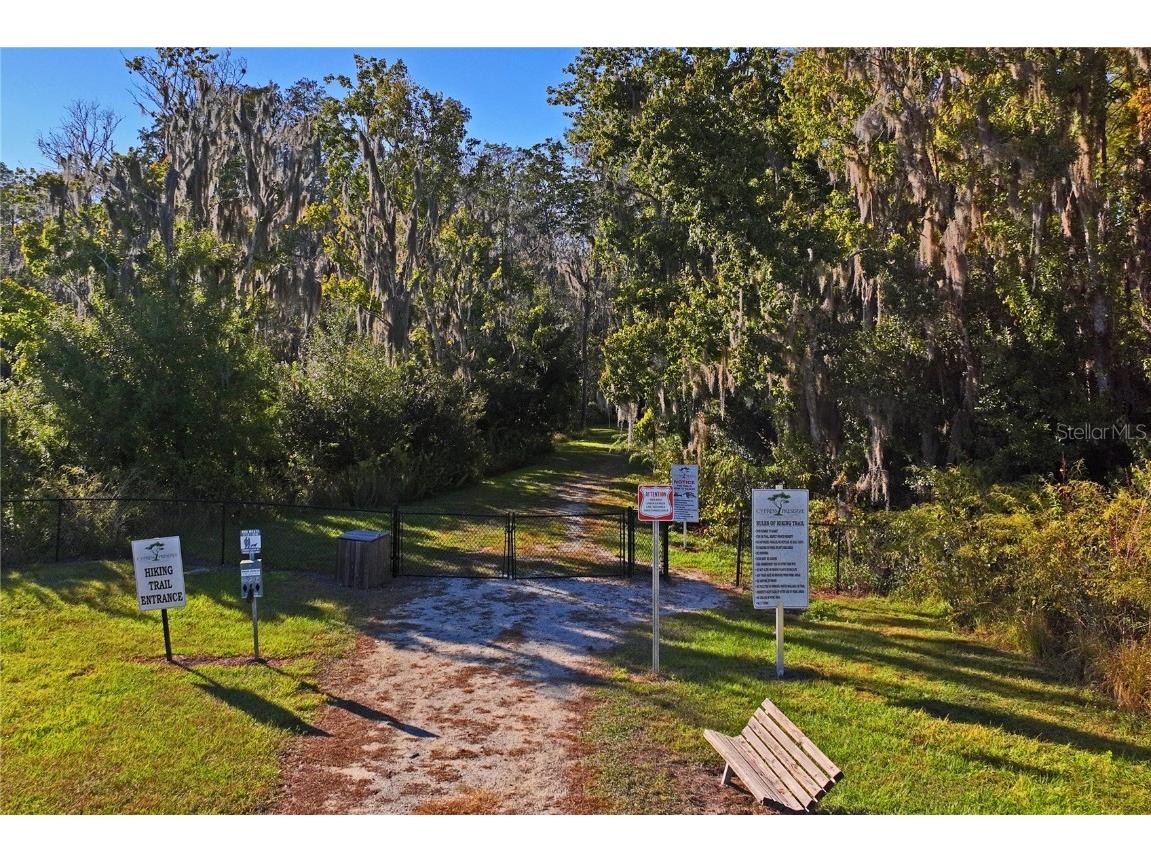 10582 Hawks Landing Drive Land O Lakes FL 34638 TB8445239 image37