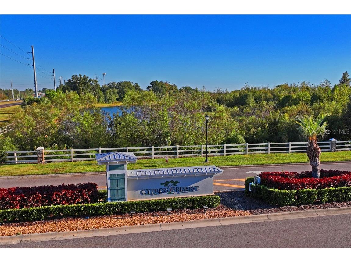 10582 Hawks Landing Drive Land O Lakes FL 34638 TB8445239 image38