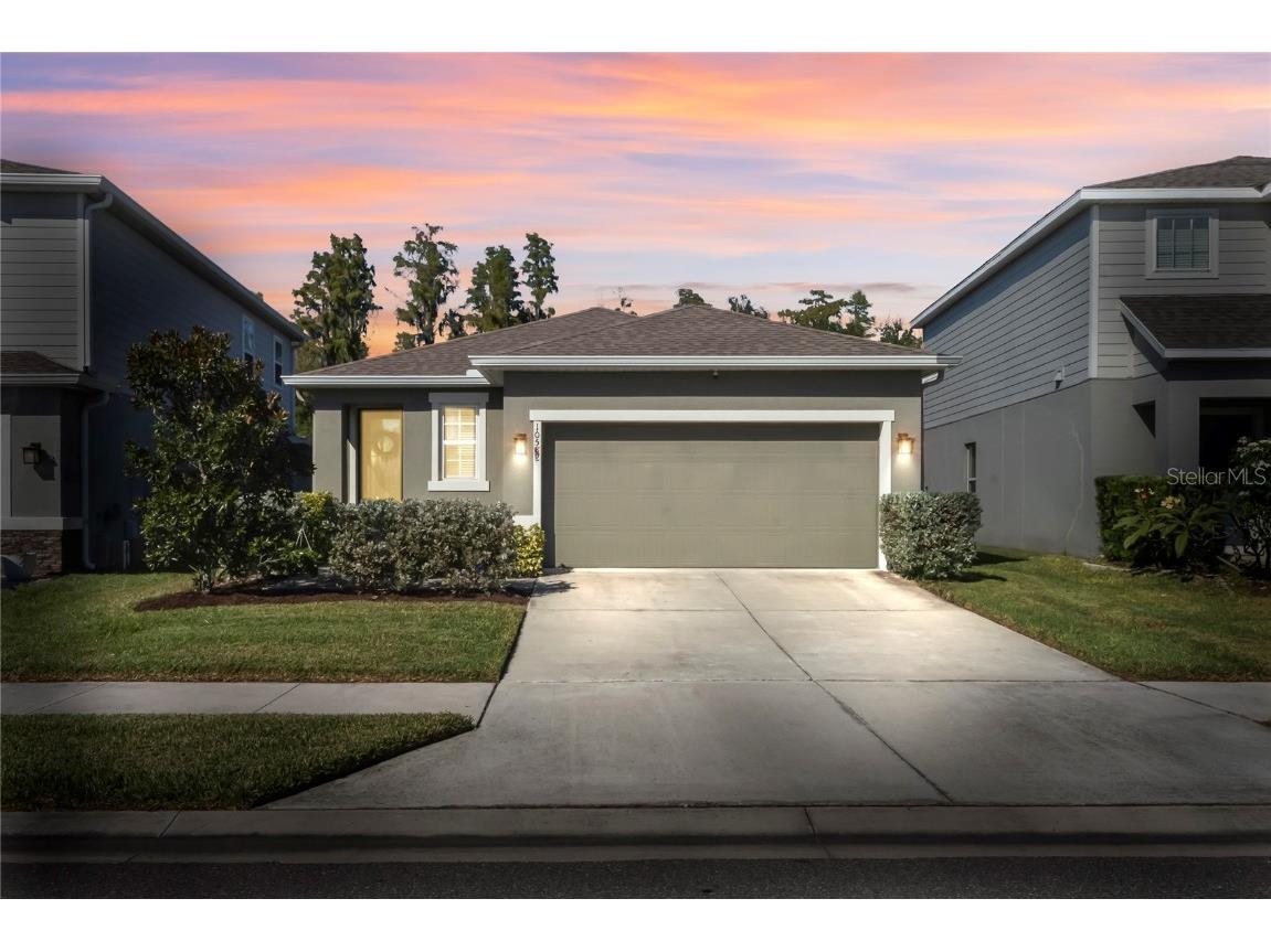 10582 Hawks Landing Drive Land O Lakes FL 34638 TB8445239 image39