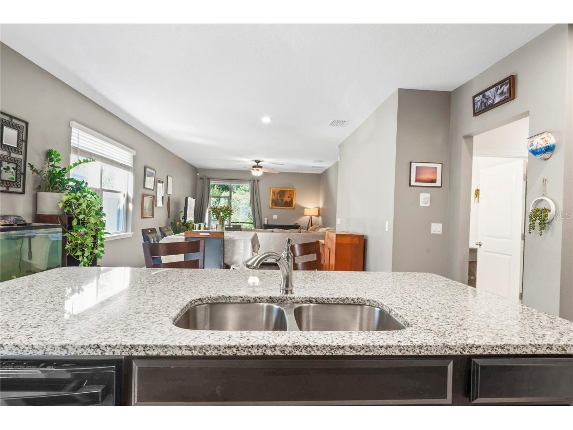 10582 Hawks Landing Drive Land O Lakes FL 34638 TB8445239 image7