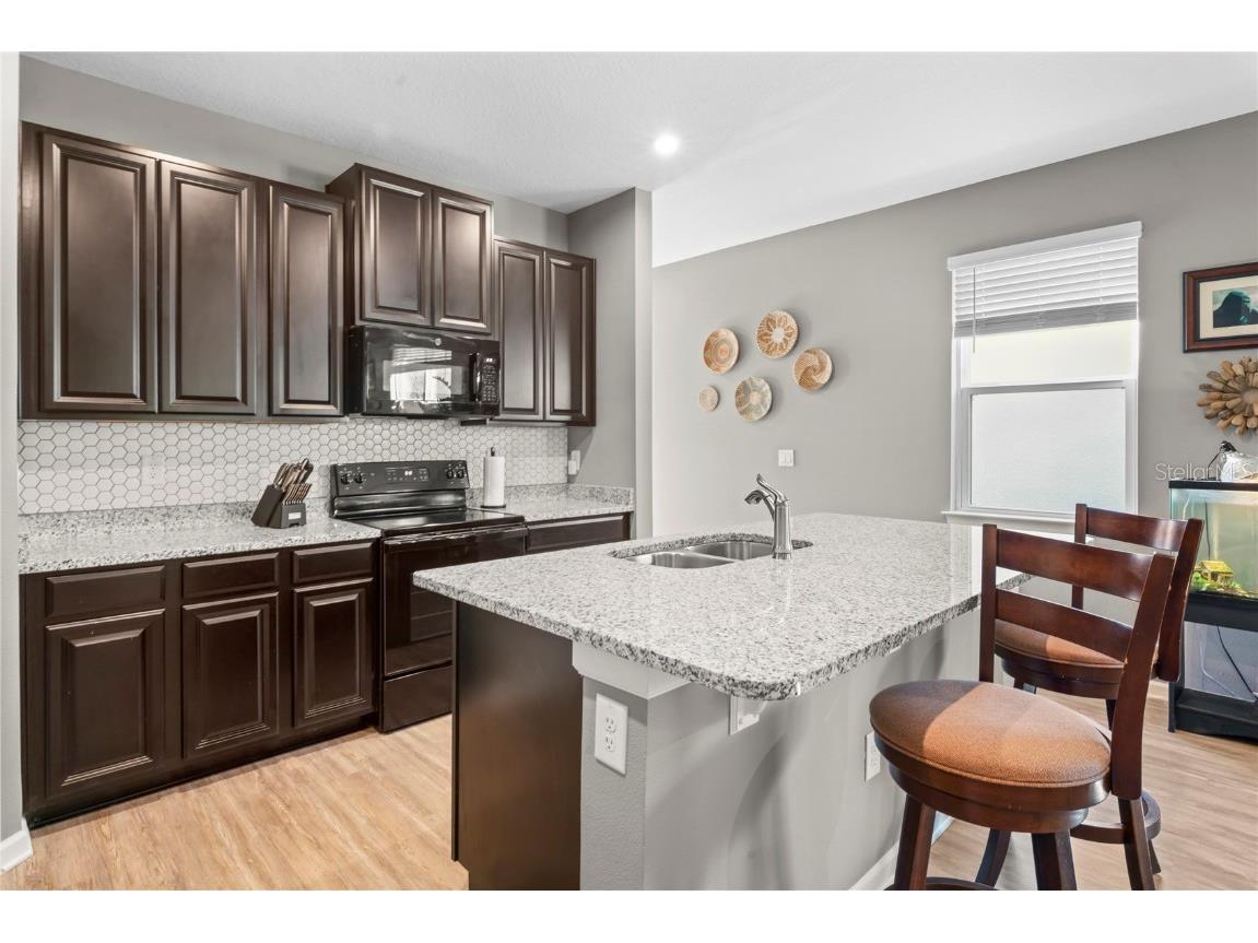 10582 Hawks Landing Drive Land O Lakes FL 34638 TB8445239 image9