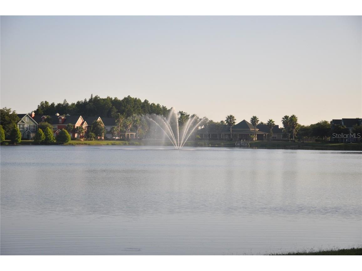 10582 Windsor Lake Court #10582 Tampa FL 33626 TB8446293 image14