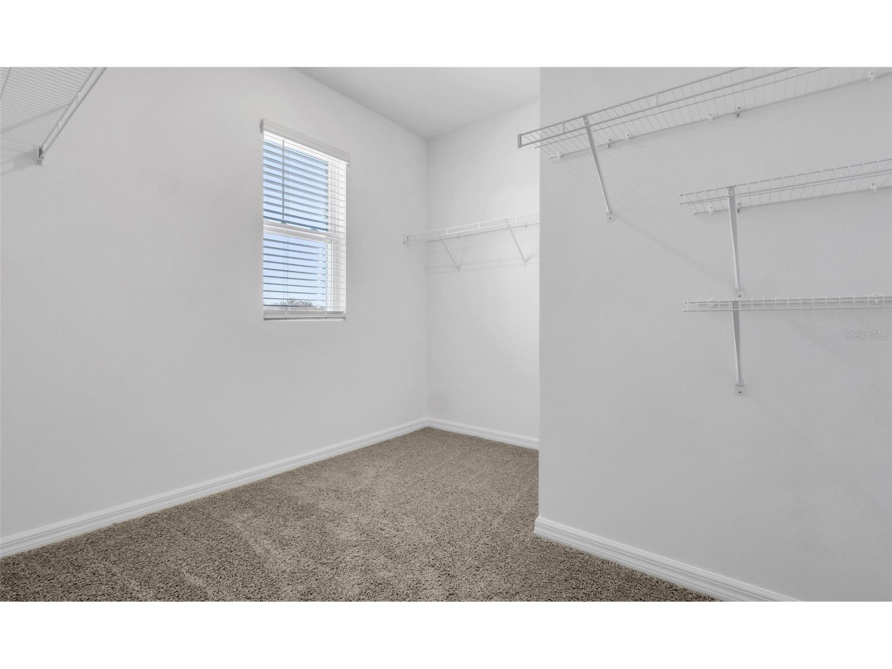 10583 Gentle Rain Drive E Land O Lakes FL 34638 W7882276 image43