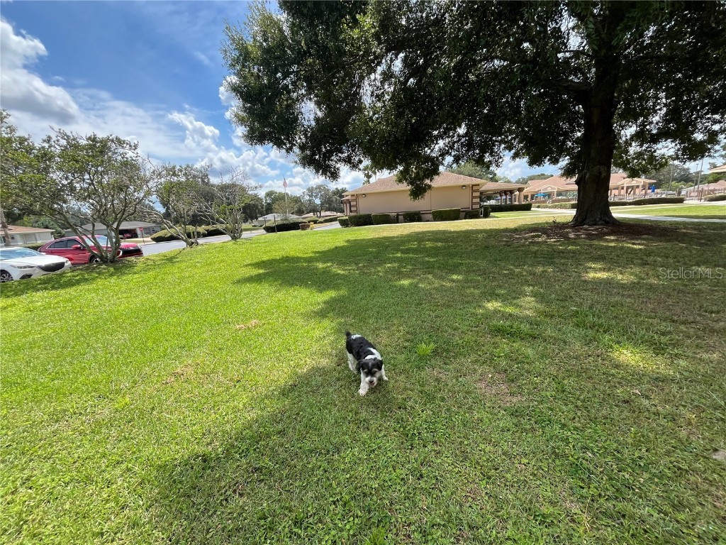 10583 SW 62nd Terrace Road Ocala FL 34476 OM709628 image59