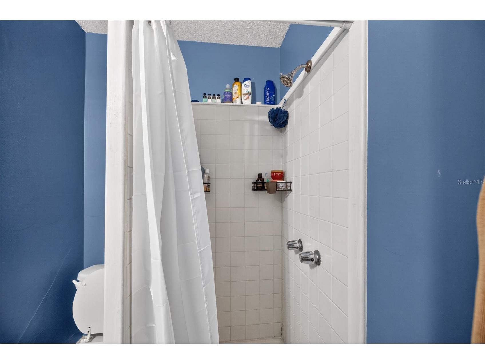1059 5th Street N Saint Petersburg FL 33701 A4695855 image17