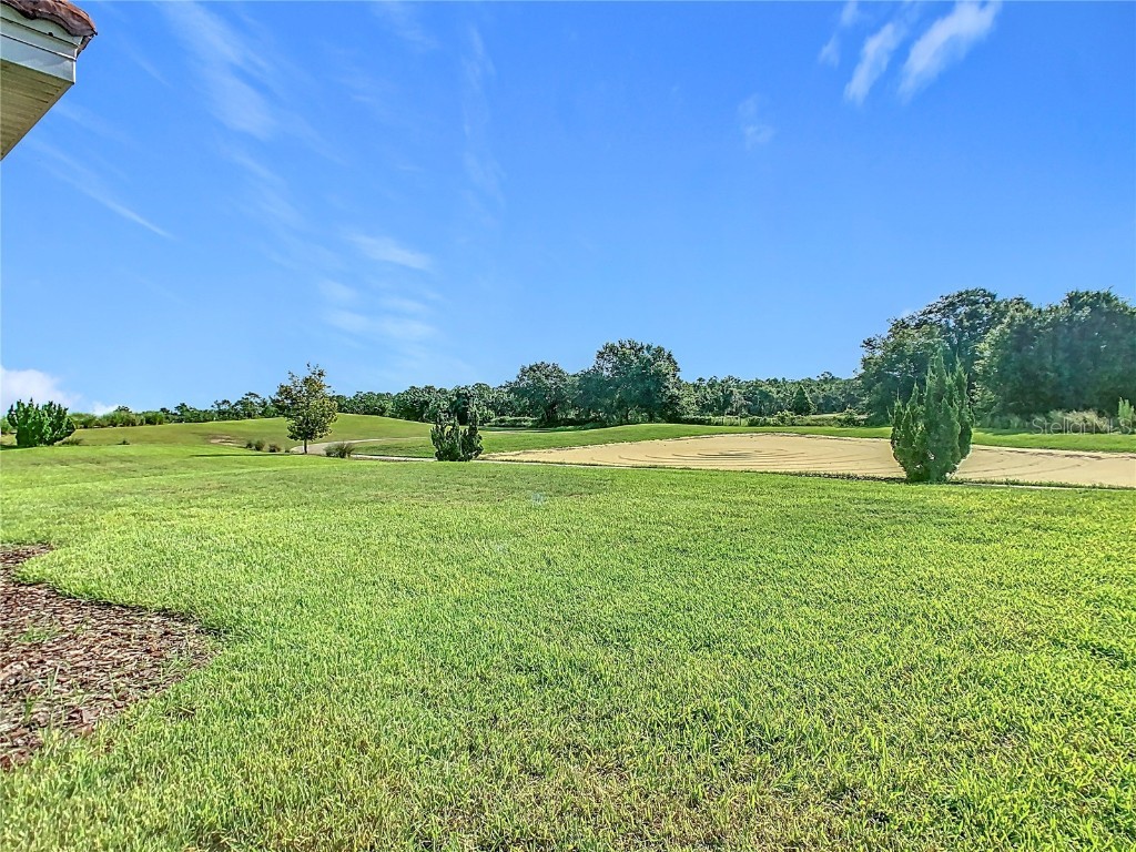 1059 Blackwolf Run Road Davenport FL 33896 O6327110 image40