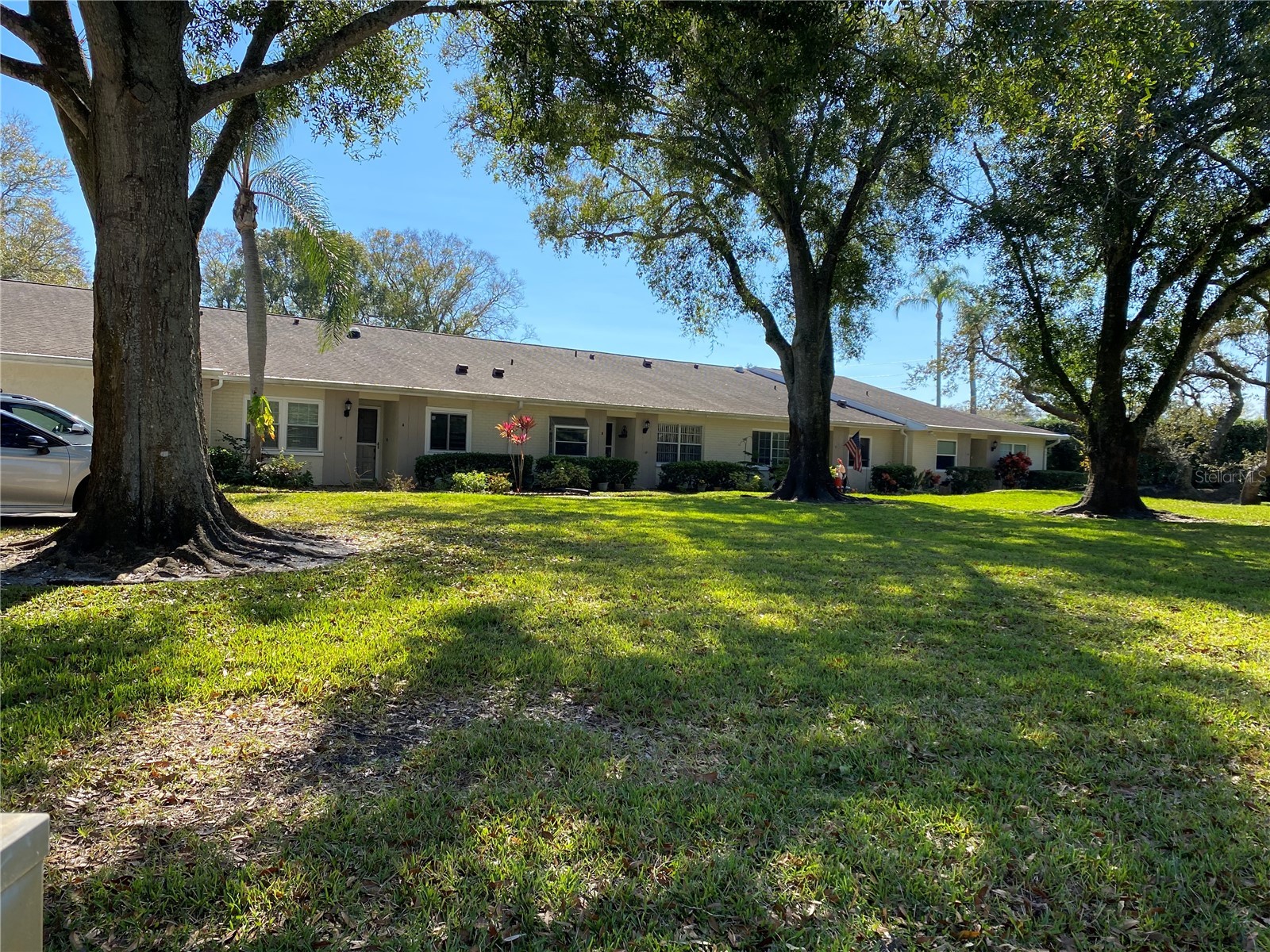 1059 Dunrobin Drive #B Palm Harbor FL 34684 TB8514992 image1