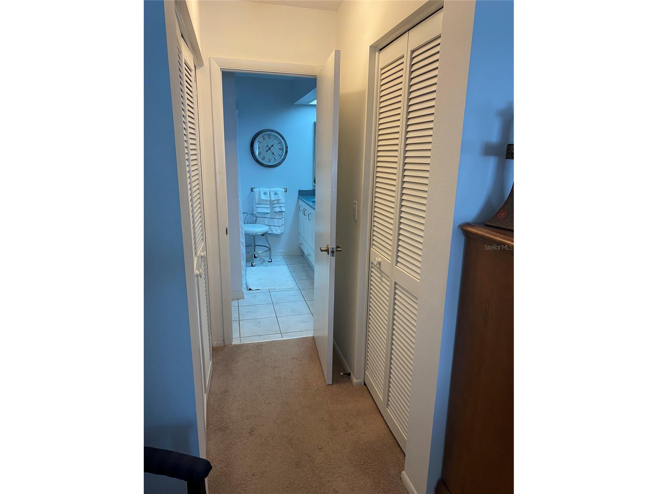 1059 Dunrobin Drive #B Palm Harbor FL 34684 TB8514992 image23