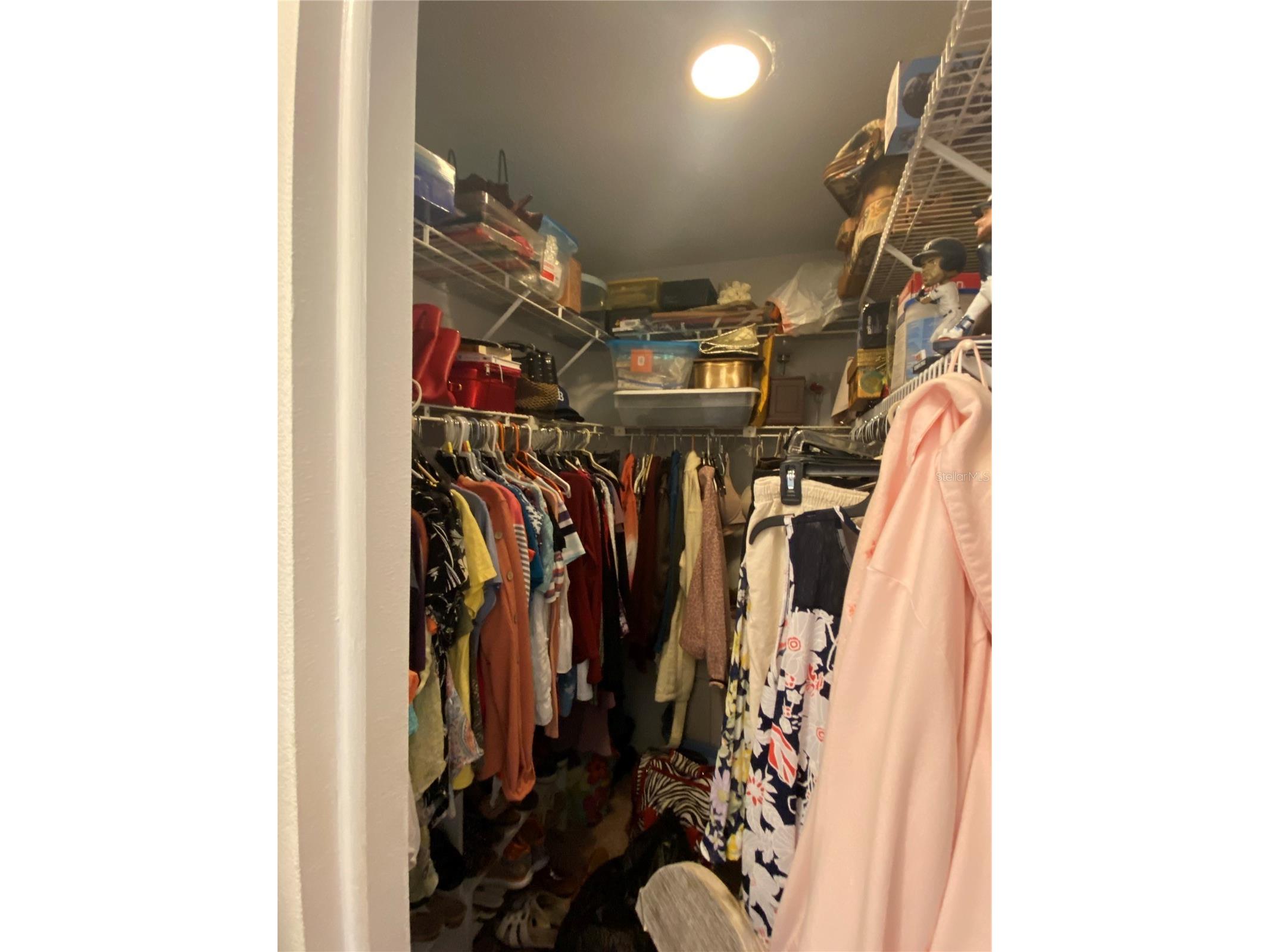 1059 Dunrobin Drive #B Palm Harbor FL 34684 TB8514992 image25