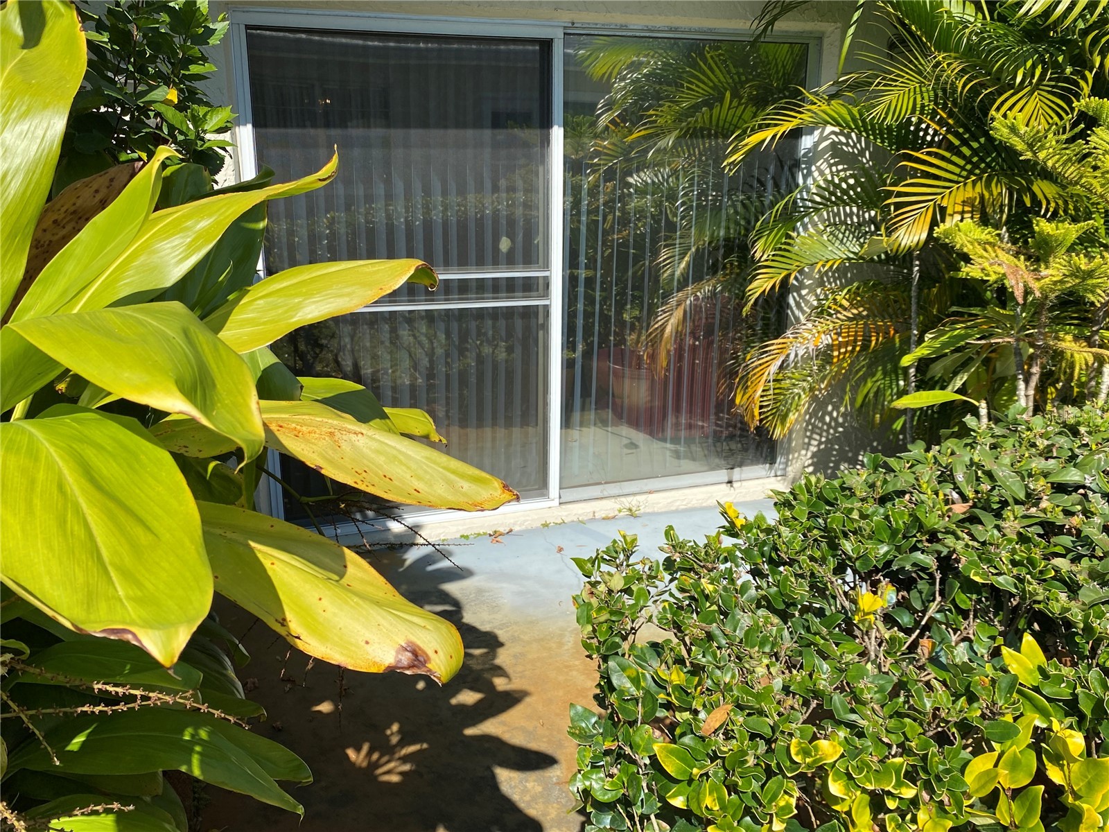 1059 Dunrobin Drive #B Palm Harbor FL 34684 TB8514992 image29