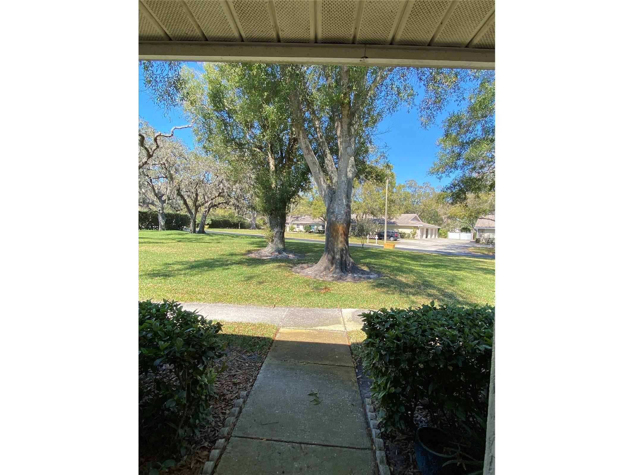 1059 Dunrobin Drive #B Palm Harbor FL 34684 TB8514992 image3