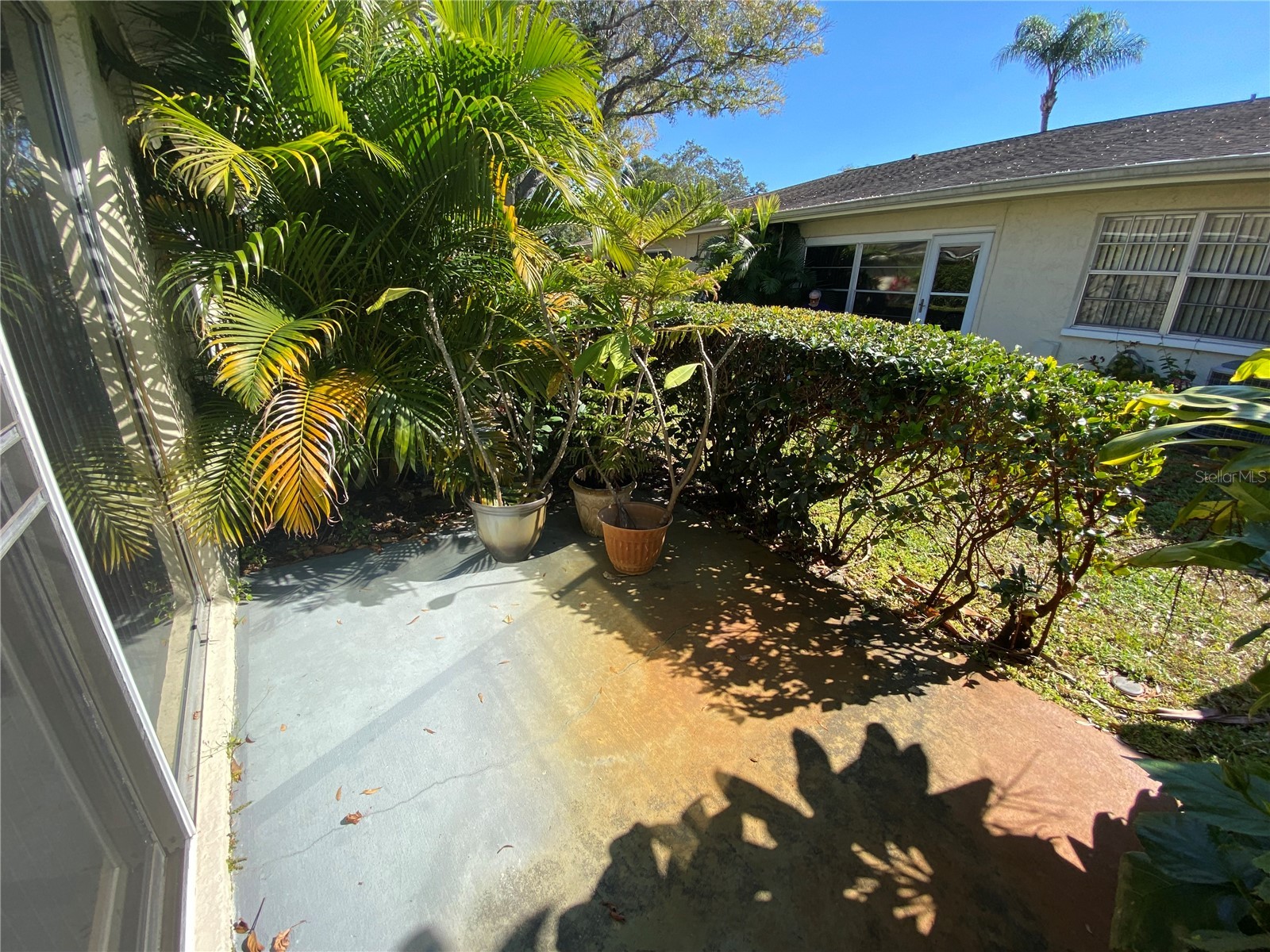 1059 Dunrobin Drive #B Palm Harbor FL 34684 TB8514992 image30