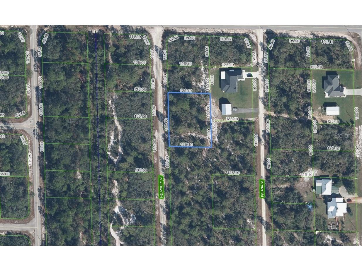 1059 Helmsley Street Lake Placid FL 33852 TB8498898 image1