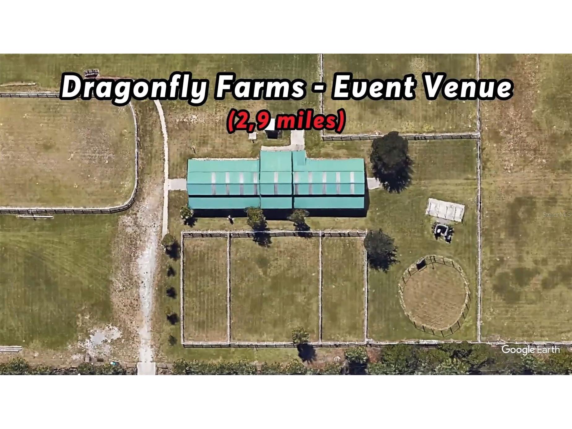 1059 Lava Street SE Palm Bay FL 32909 O6395657 image6