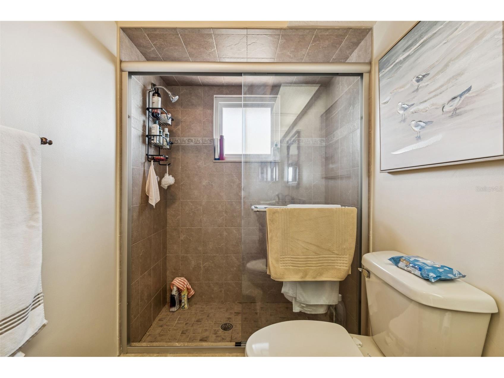 1059 S Pointe Alexis Dr Tarpon Springs FL 34689 TB8460227 image22