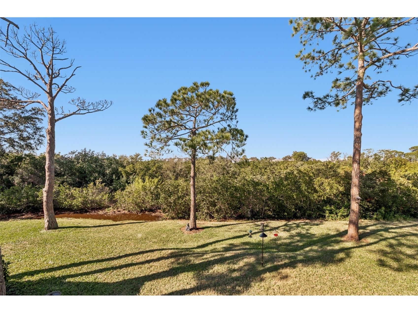 1059 S Pointe Alexis Dr Tarpon Springs FL 34689 TB8460227 image32